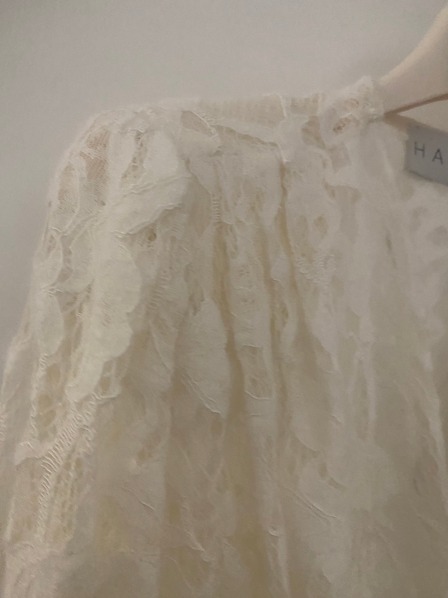 HAVEONE-body in pizzo